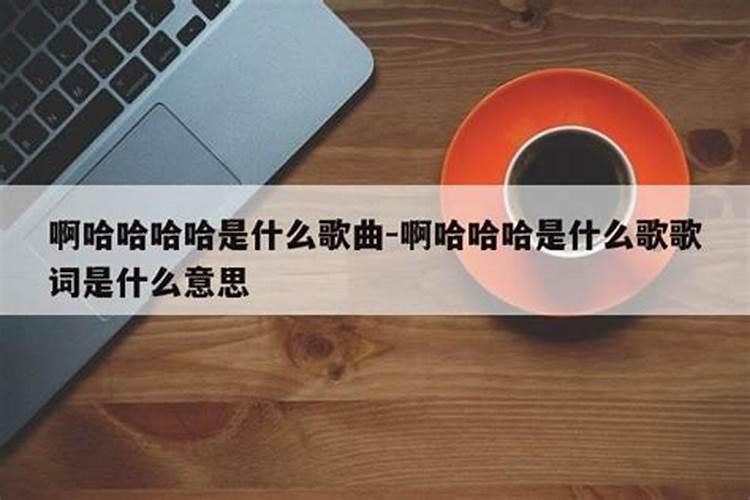 “秋刀鱼的滋味猫跟你都想了解”表达了什么？