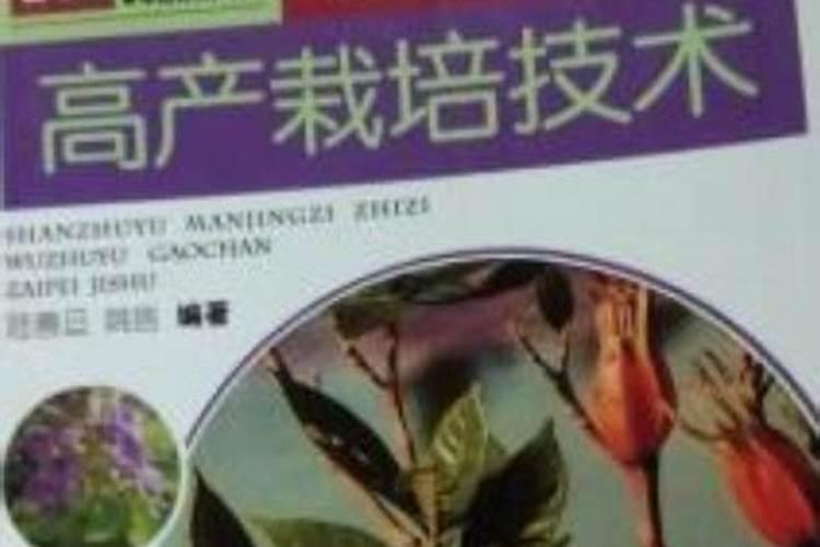 吴茱萸矮小不长缺什么肥料？