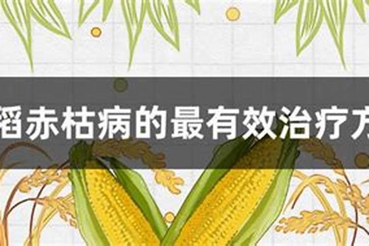 水稻红叶是什么病,该用什么药？