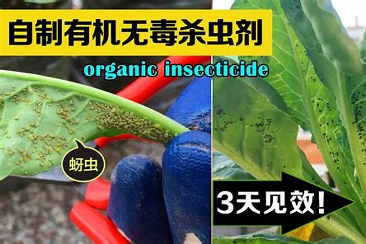 下雨天可以给蔬菜施肥吗