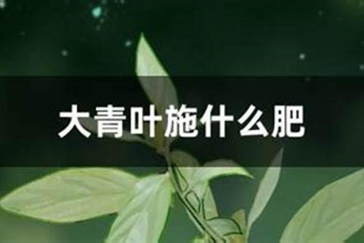有五种颜色,红、黑、篮、绿、白各代表用途是什么？