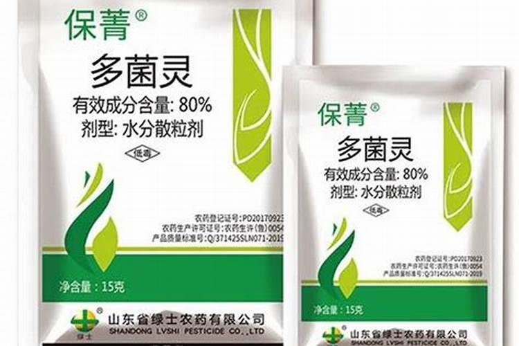 月季花的施肥方法及使什么肥