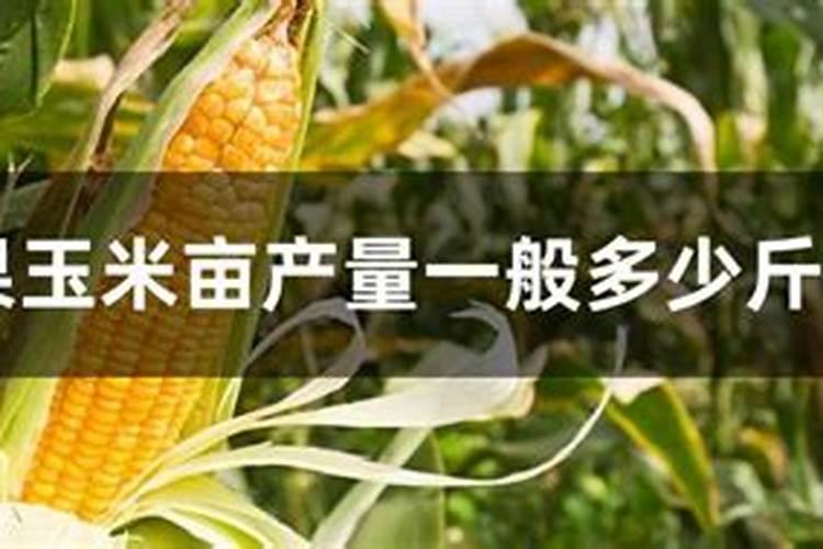 沙土地一亩用多少钾肥钾肥