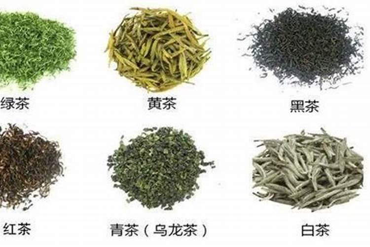 嫁接芽点能顶破膜吗嫁接多久后可以挑芽膜
