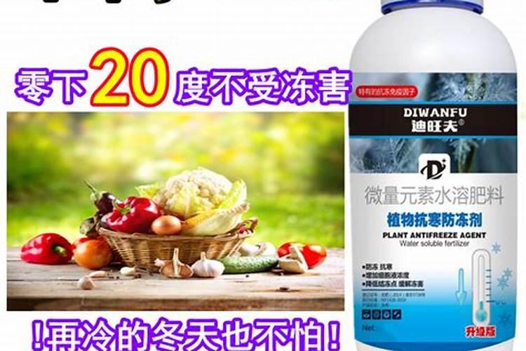 猕猴桃防冻剂啥时打？
