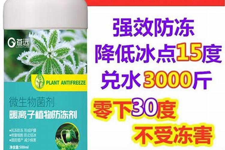 天达2116对果树防冻害什么时候喷施最好？