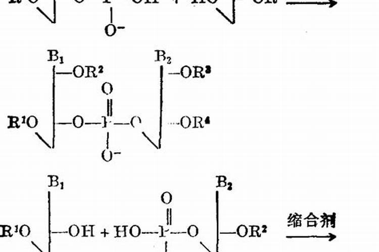 磷酸的应用领域