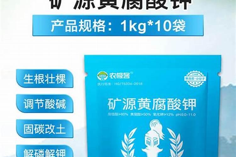 矿源黄腐酸钾什么时候用效果好？芒果使用黑金晶促产增收怎么用
