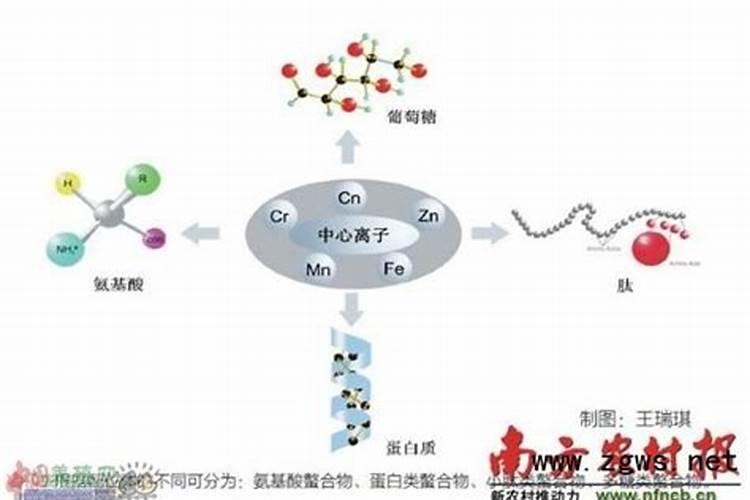农用螯合钙肥的特点
