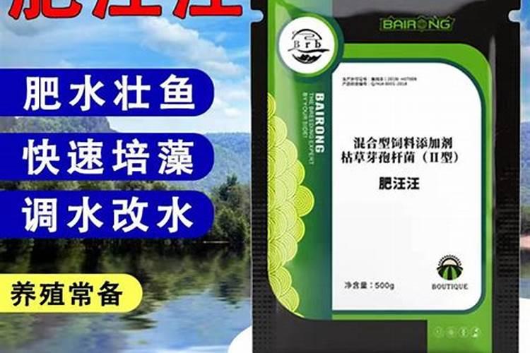 花鲢吃什么