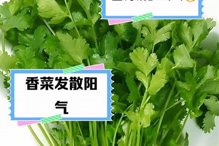 香菜浇什么肥料合适