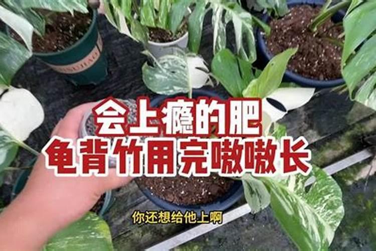 专用营养土可加拌泥沙吗？