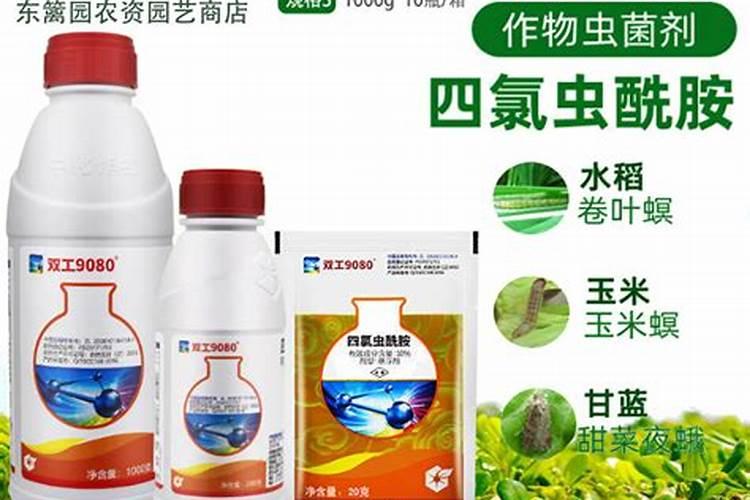 玉米褐斑病用什么杀菌剂好