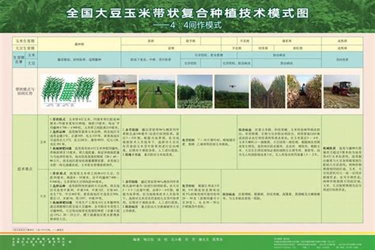有机肥的正确使用方法