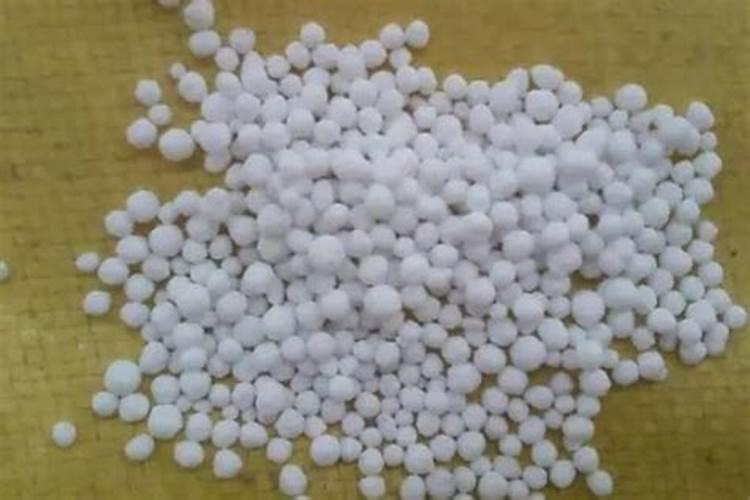 养花氮肥有哪些