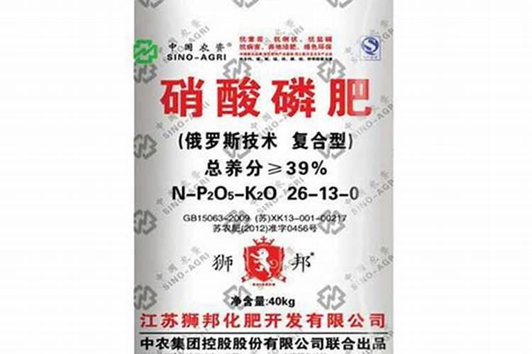 孔雀竹芋浇水时间和正确方法
