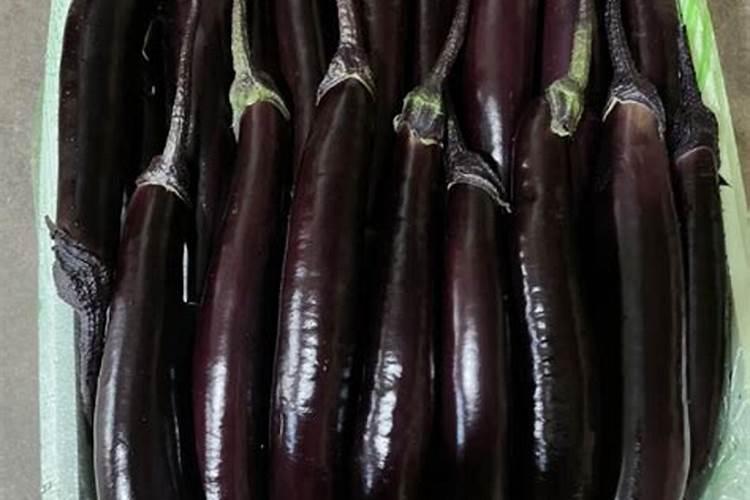 种植茄子要如何施肥 用什么肥料