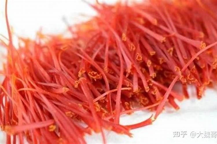 藏红花的种植技术