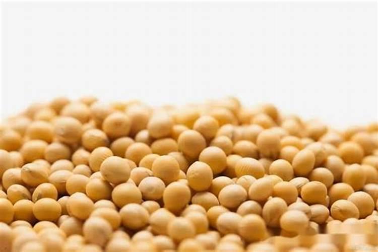 香水柠檬用什么肥料？
