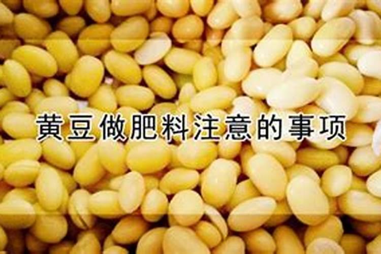 煮熟的黄豆怎么发酵做肥料