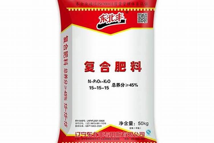东北丰0022玉米种介绍