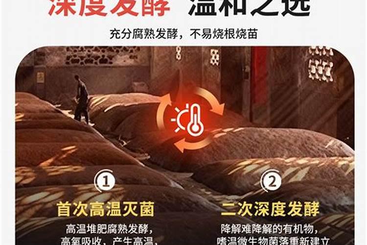 月季花多久施肥一次月季花施肥时间