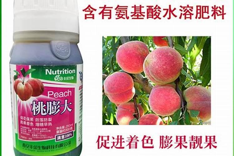多肉可以施复合肥吗