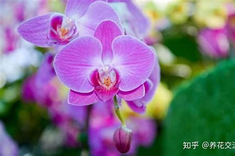 土壤杀菌剂使用方法