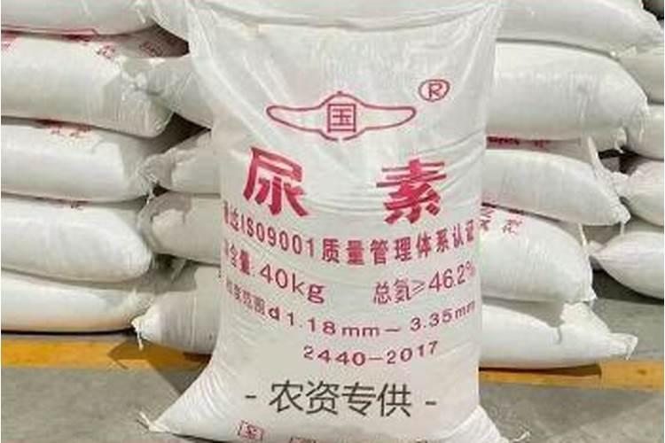绿植施肥用什么肥料最好 给绿植施4种肥长得好