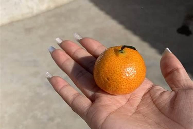 种菜用什么肥料好