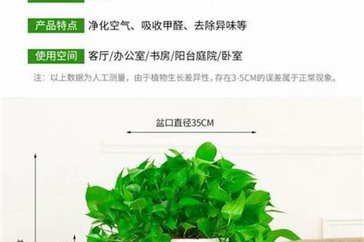 小麦在什么期间可打叶面肥？