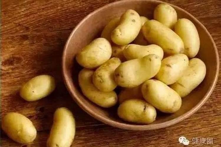 黑土豆的黑土豆种植