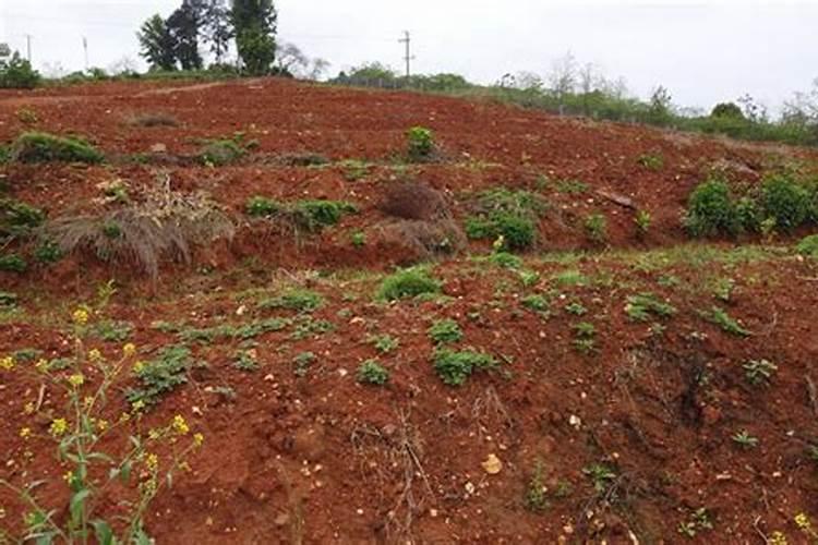 红壤的改良措施 红壤的形成原因