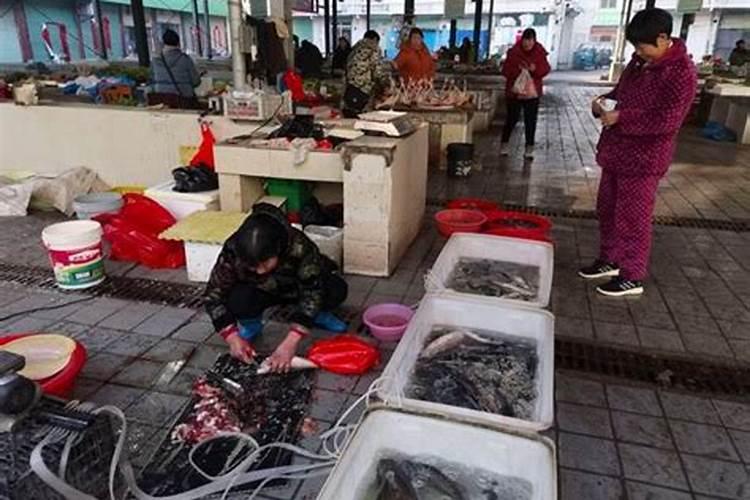 西瓜苗适合用什么样的叶面肥