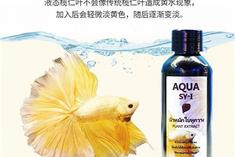 鱼缸里放什么枯树叶