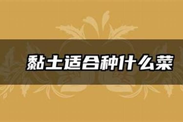 常见的氮肥、磷肥、钾肥、复合肥有哪些……