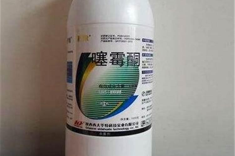 黄瓜白粉,霜霉,用什么药效果些