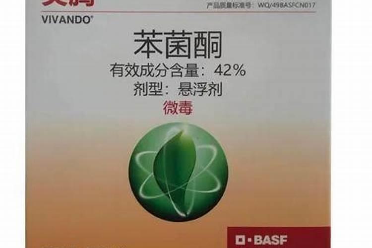 青瓜病害叶面,什么病害？如何防治？