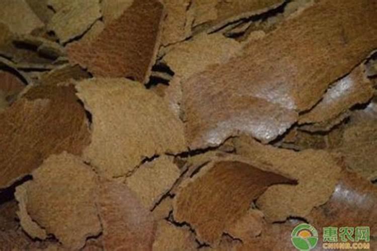 油枯施肥的正确方法