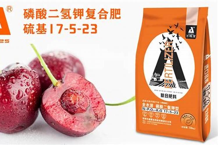 果树叶子发黄了,用什么肥料改善？
