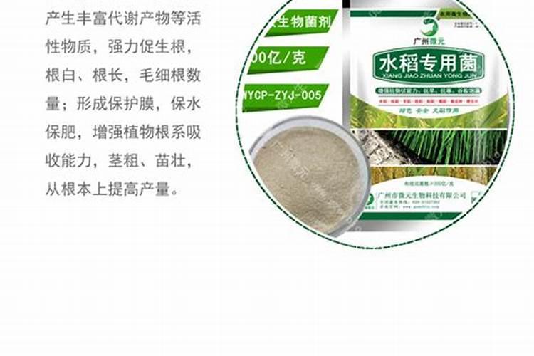 水稻专用肥的施肥量