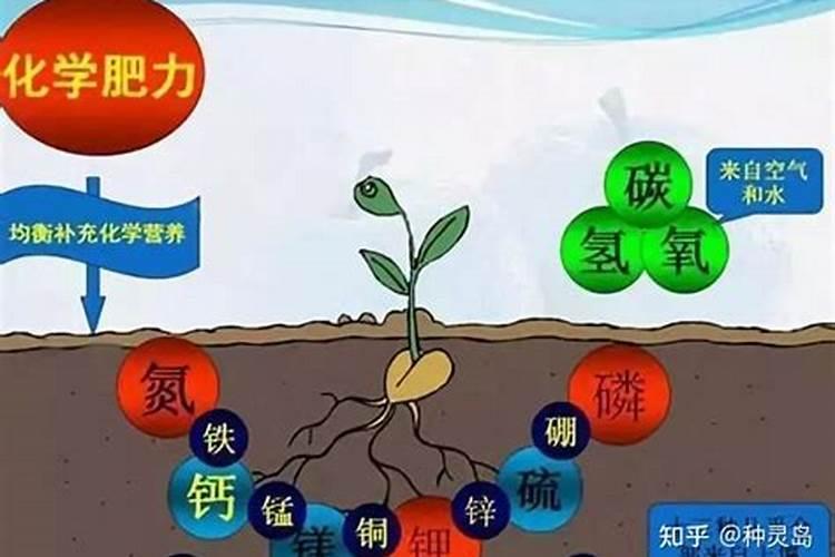 高氮复合肥是什么肥料