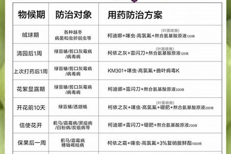 农用防裂果用什么钙最好