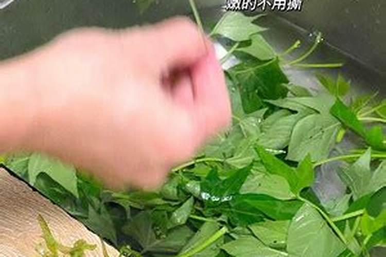 红糖为什么能做作物叶面肥