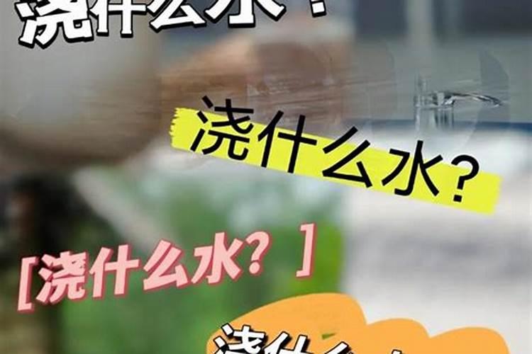 兰花喷什么叶面肥最好(兰花叶面肥喷施注意事项)