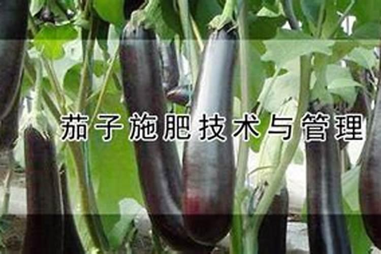 辽宁营口大石桥怎么样