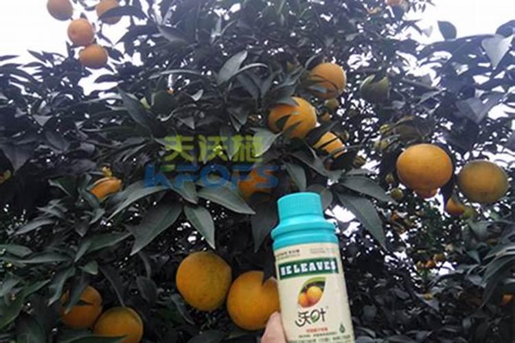 硼肥的作用与功效及使用方法