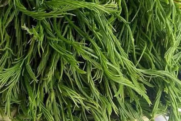 复合肥怎么用效果最好