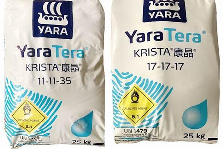玉米怎样种？