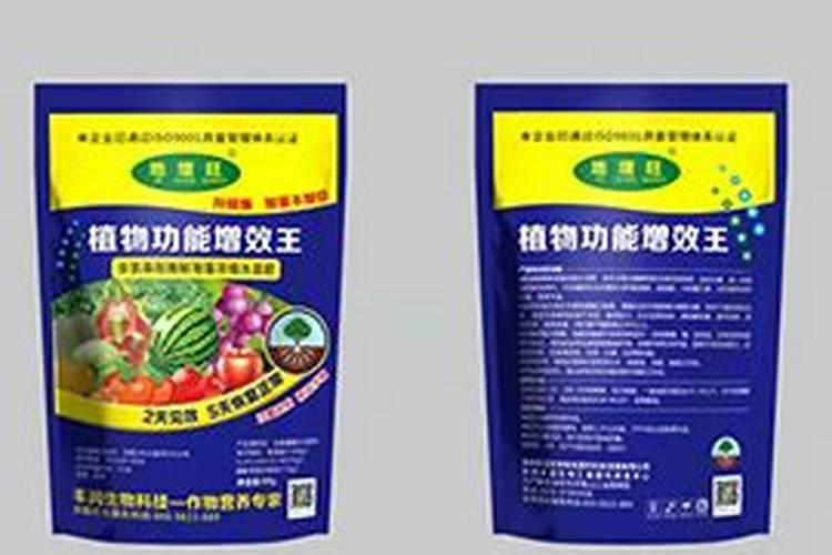 大蒜真的可以祛斑吗